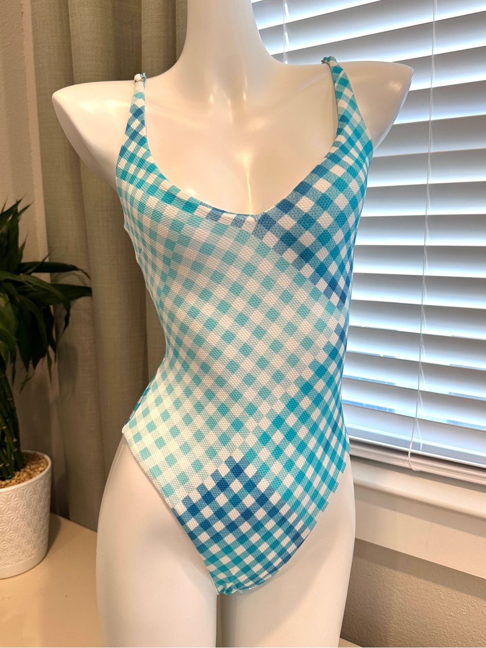 L*Space Picnic Plaid Gianna Classic One-Piece Swimsuit